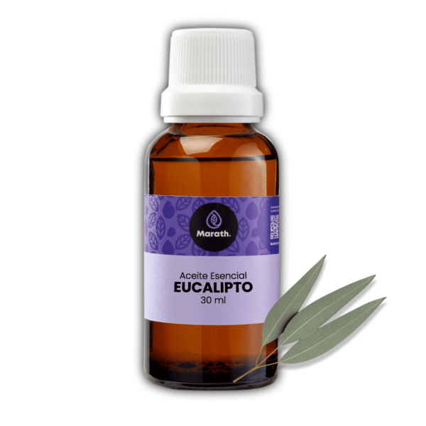 Aceite Esencial De Eucalipto