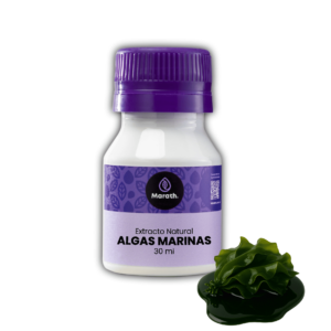 Extracto de Algas Marinas